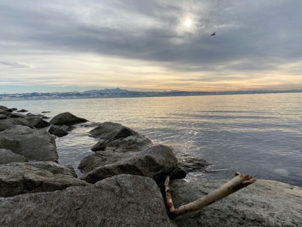 © ECHT BODENSEE